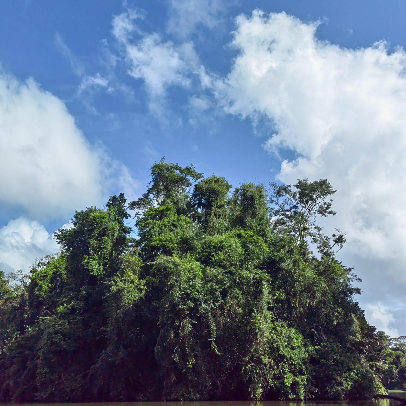 Tortuguero Villas Exterior foto