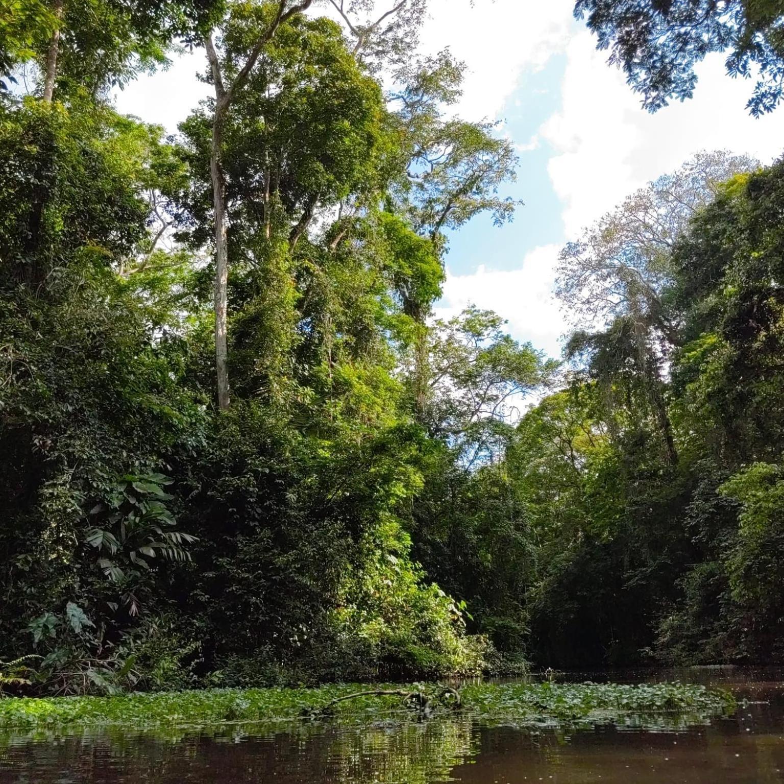 Tortuguero Villas Exterior foto