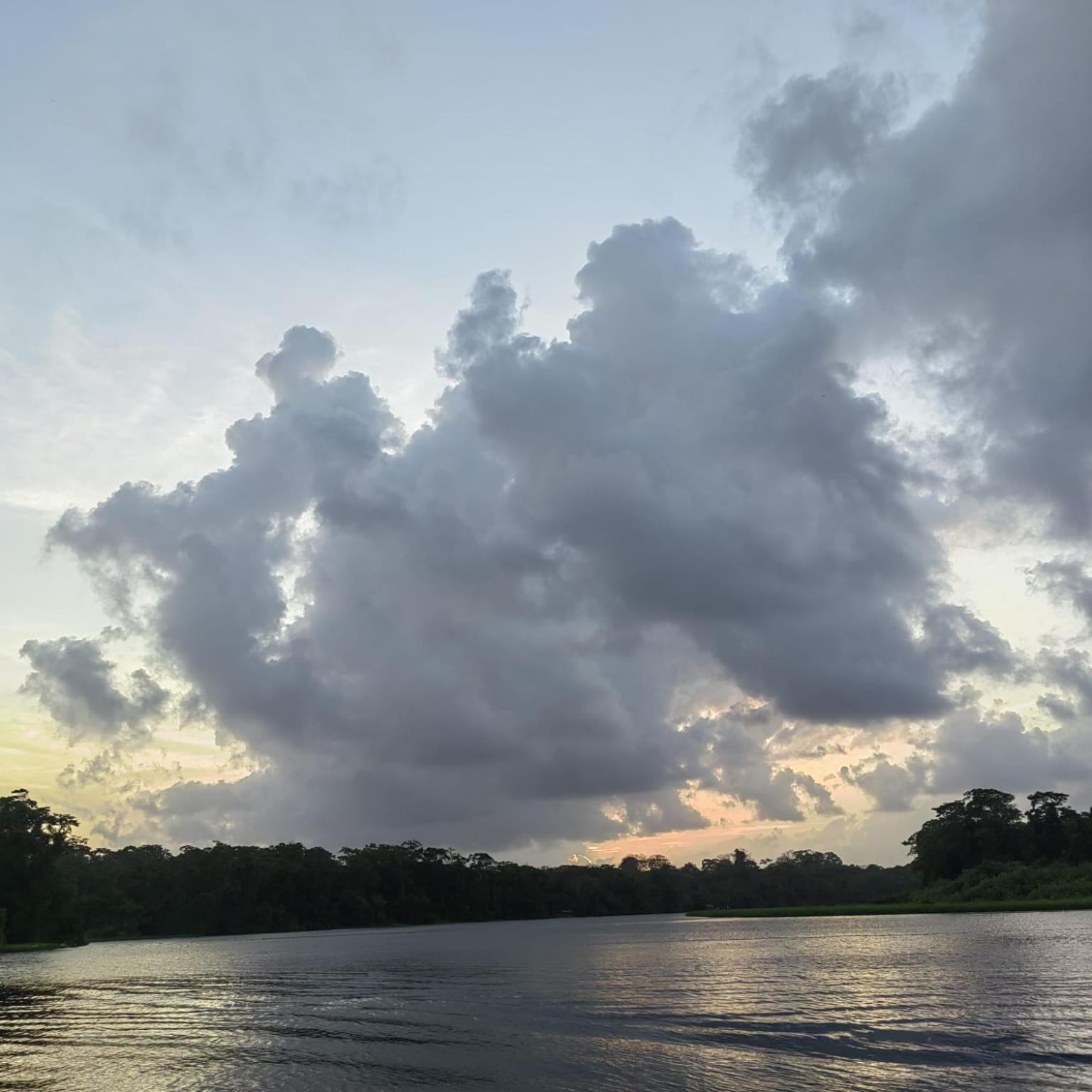Tortuguero Villas Exterior foto