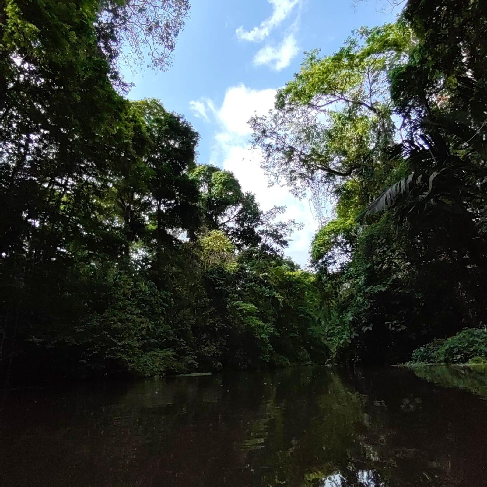 Tortuguero Villas Exterior foto